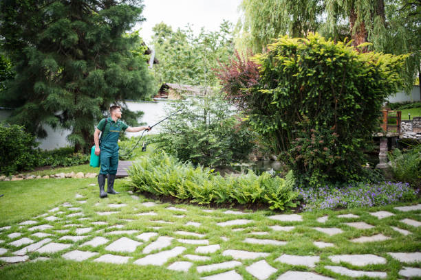 Best Bird Control  in Longview, WA